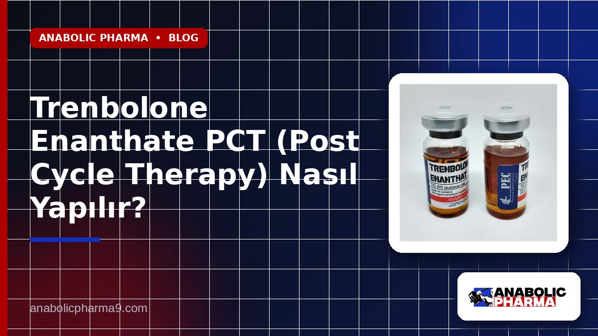 Trenbolone Enanthate PCT (Post Cycle Therapy) Nasıl Yapılır?