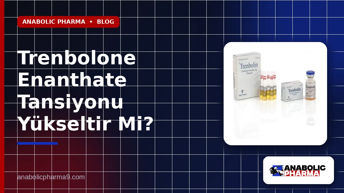 Trenbolone Enanthate Tansiyonu Yükseltir Mi?