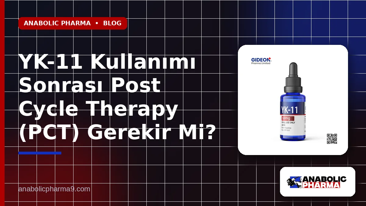YK-11 Kullanımı Sonrası Post Cycle Therapy (PCT) Gerekir Mi? 1 YK-11 Kullanımı Sonrası Post Cycle Therapy (PCT) Gerekir Mi?