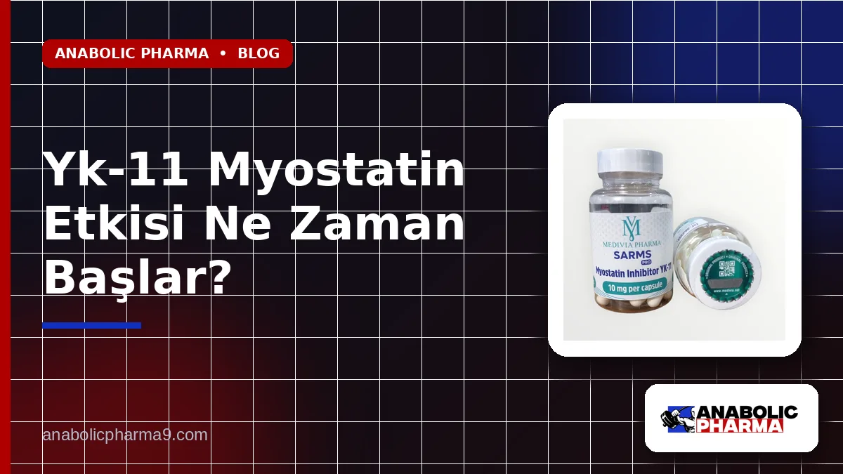 Yk-11 Myostatin Etkisi Ne Zaman Başlar?
