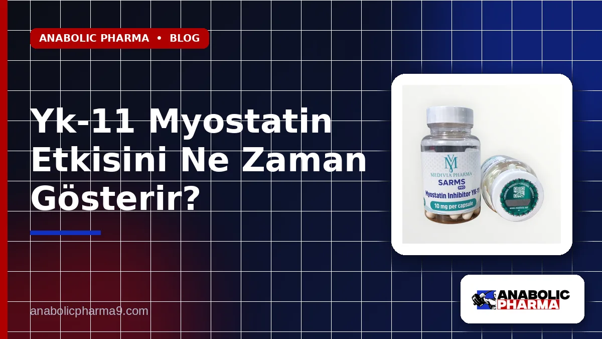 Yk-11 Myostatin Etkisini Ne Zaman Gösterir?