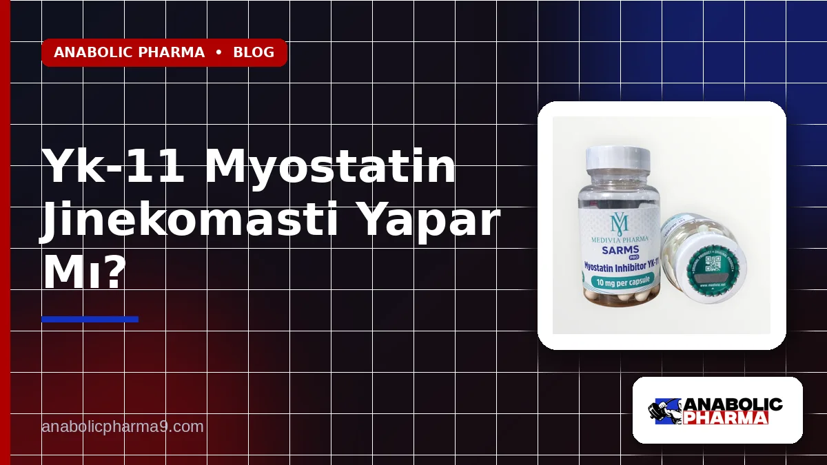 Yk-11 Myostatin Jinekomasti Yapar Mı?
