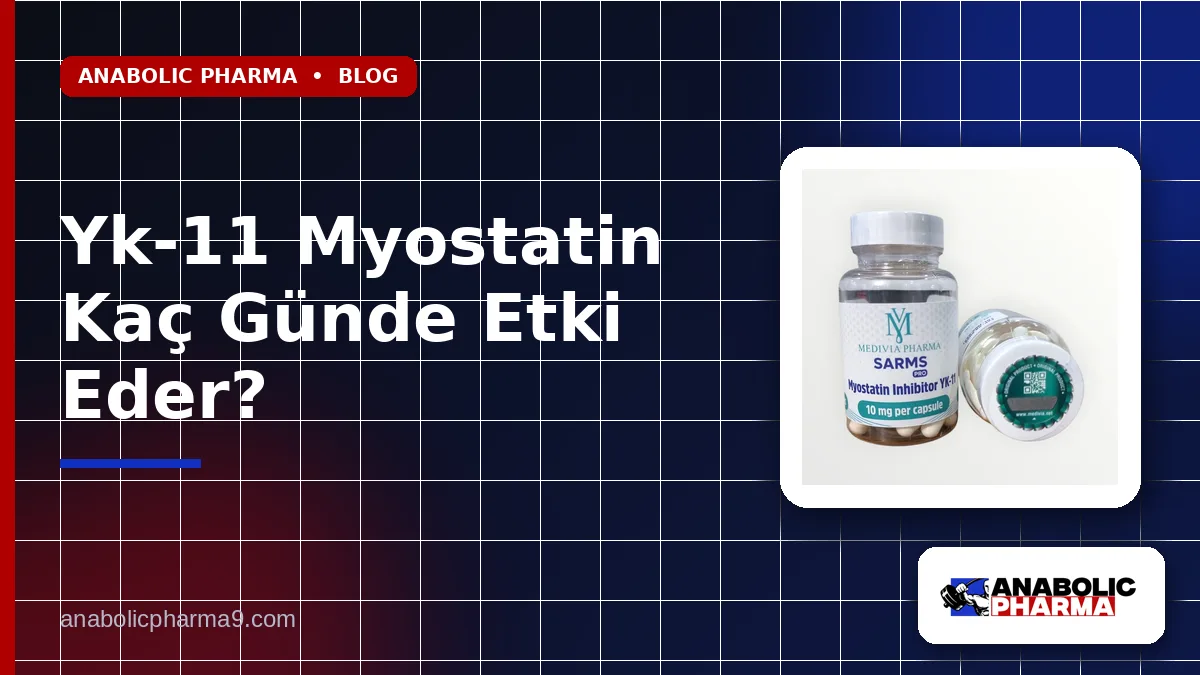 Yk-11 Myostatin Kaç Günde Etki Eder?