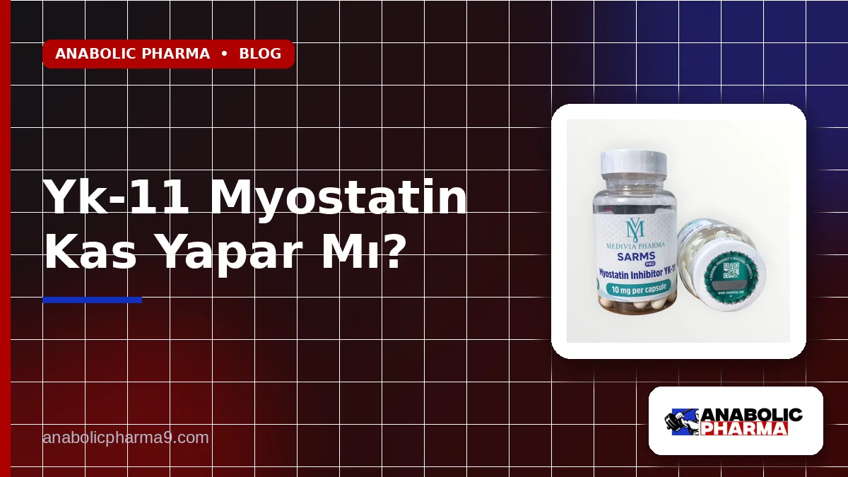 Yk-11 Myostatin Kas Yapar Mı?