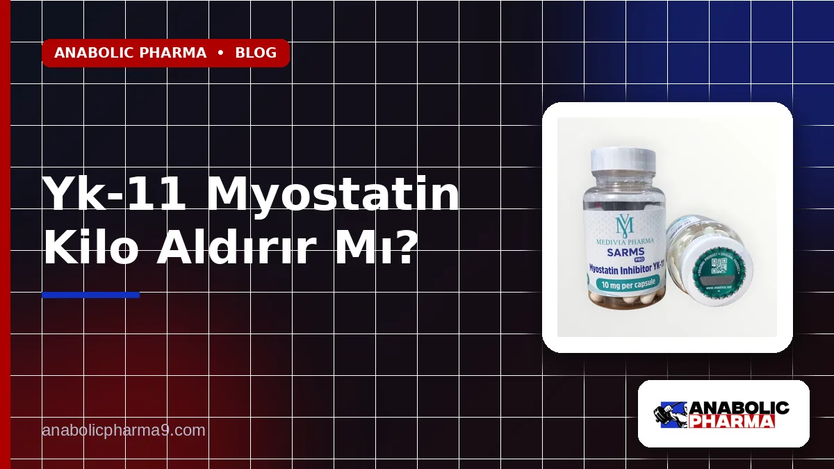 Yk-11 Myostatin Kilo Aldırır Mı?
