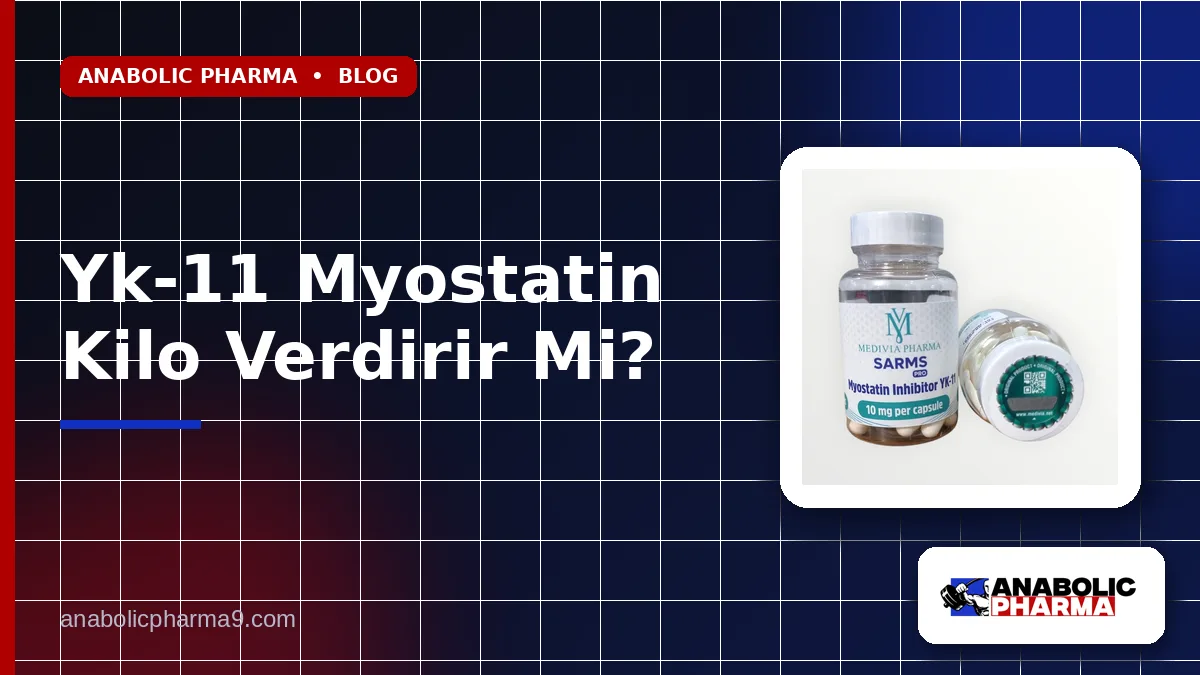 Yk-11 Myostatin Kilo Verdirir Mi?