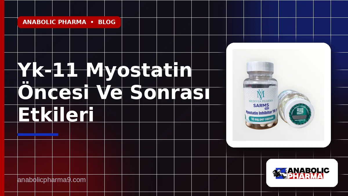 Yk-11 Myostatin Öncesi Ve Sonrası Etkileri