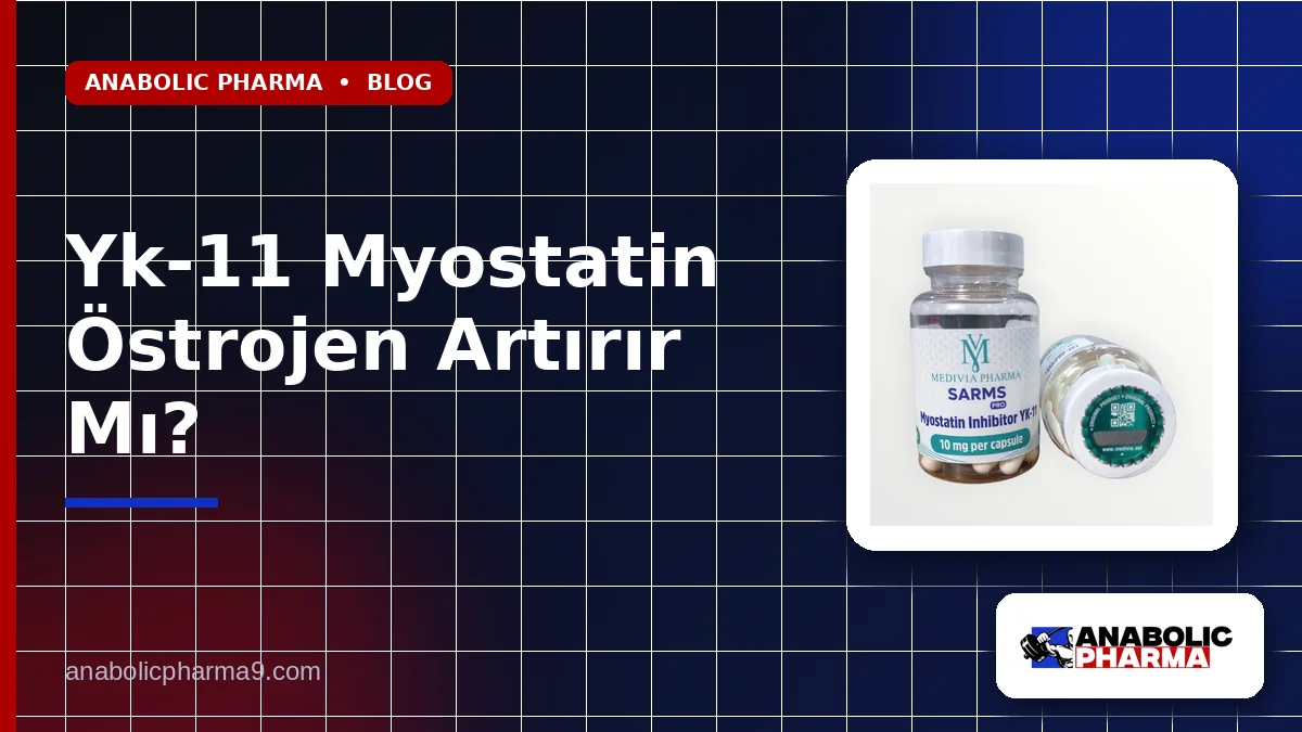 Yk-11 Myostatin Östrojen Artırır Mı?