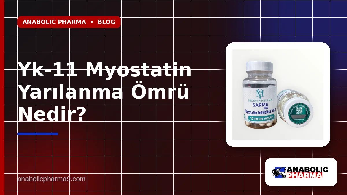 Yk-11 Myostatin Yarılanma Ömrü Nedir?