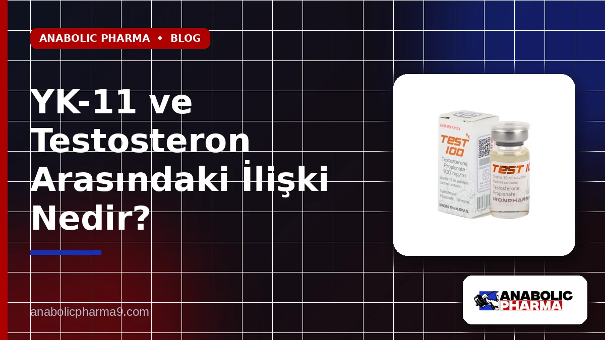 YK-11 ve Testosteron Arasındaki İlişki Nedir?