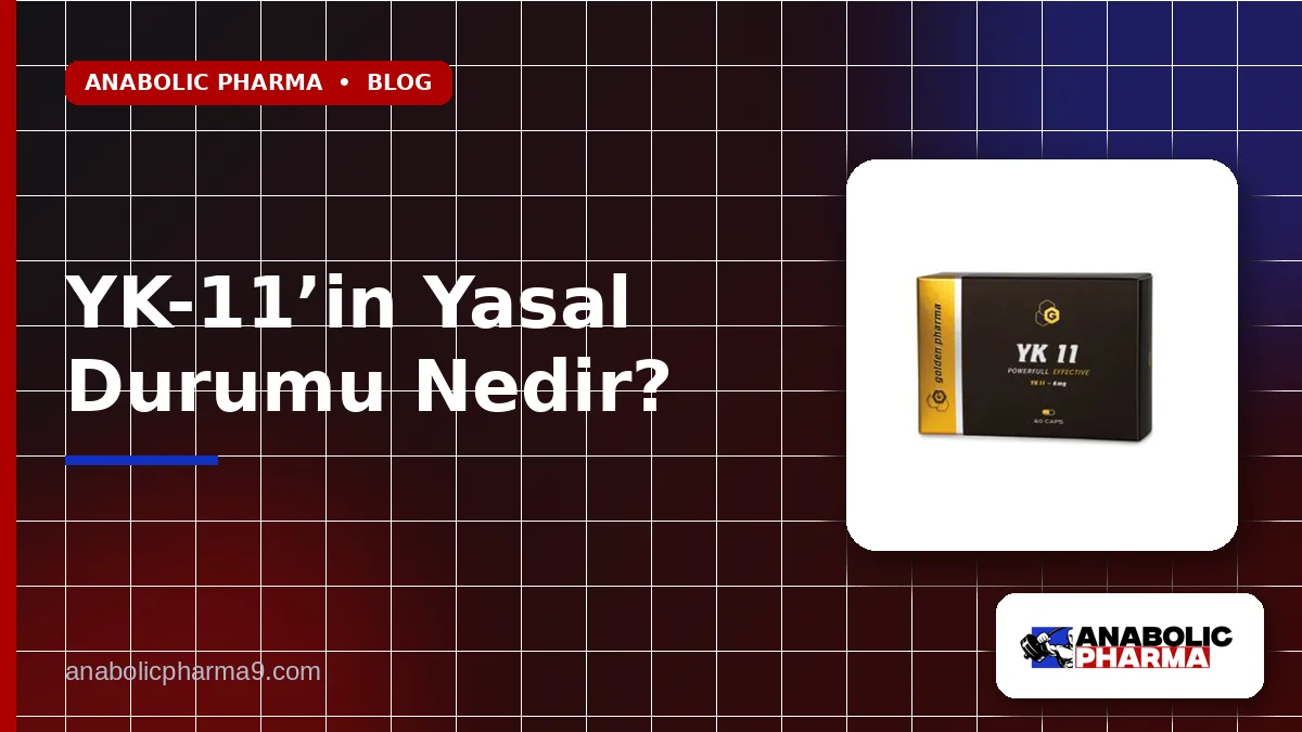 YK-11’in Yasal Durumu Nedir?